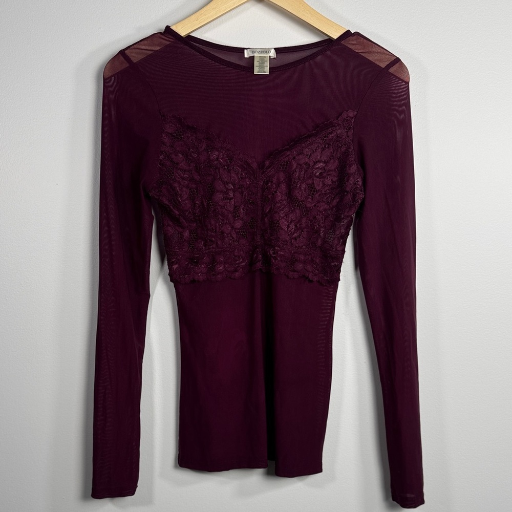 Bozzolo Sheer Mesh Long Sleeve Top - Floral Lace Bodice